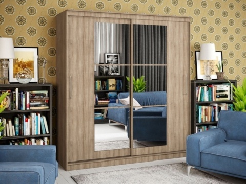 Шкаф-Купе Элвис-3 (Ш-1500/1700/2000 × В-2200 х Г-650 мм)/Разные Цвета